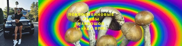 стаф Баксан