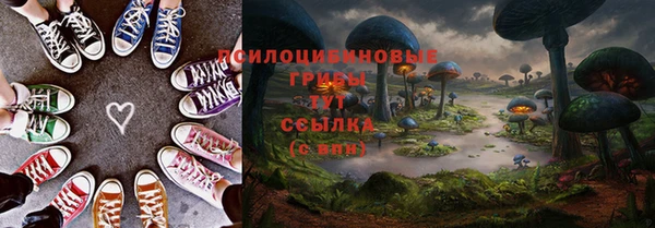 ECSTASY Балахна
