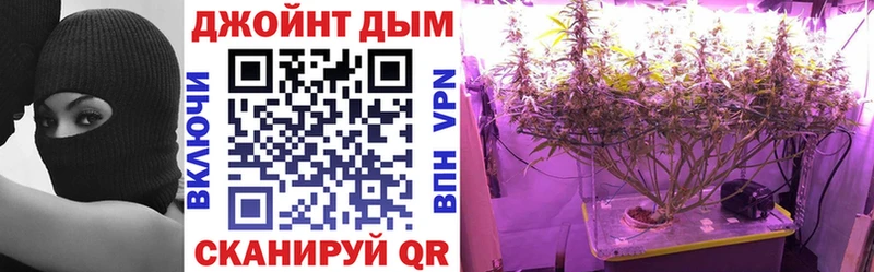 Бошки марихуана OG Kush где можно купить наркотик Кущёвская